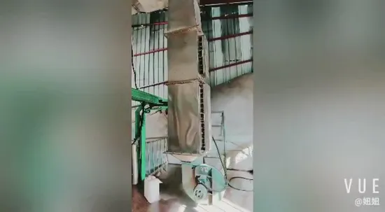 Sécheur à bande de maille Dw fabriqué en usine pour l'industrie alimentaire, déshydratation des légumes